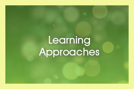 Module 3 - Learning Approaches 