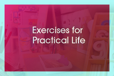 Module 2: Exercises for Practical Life 